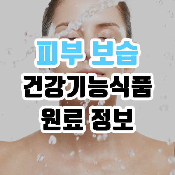 피부 보습 건강기능식품 원료 정보