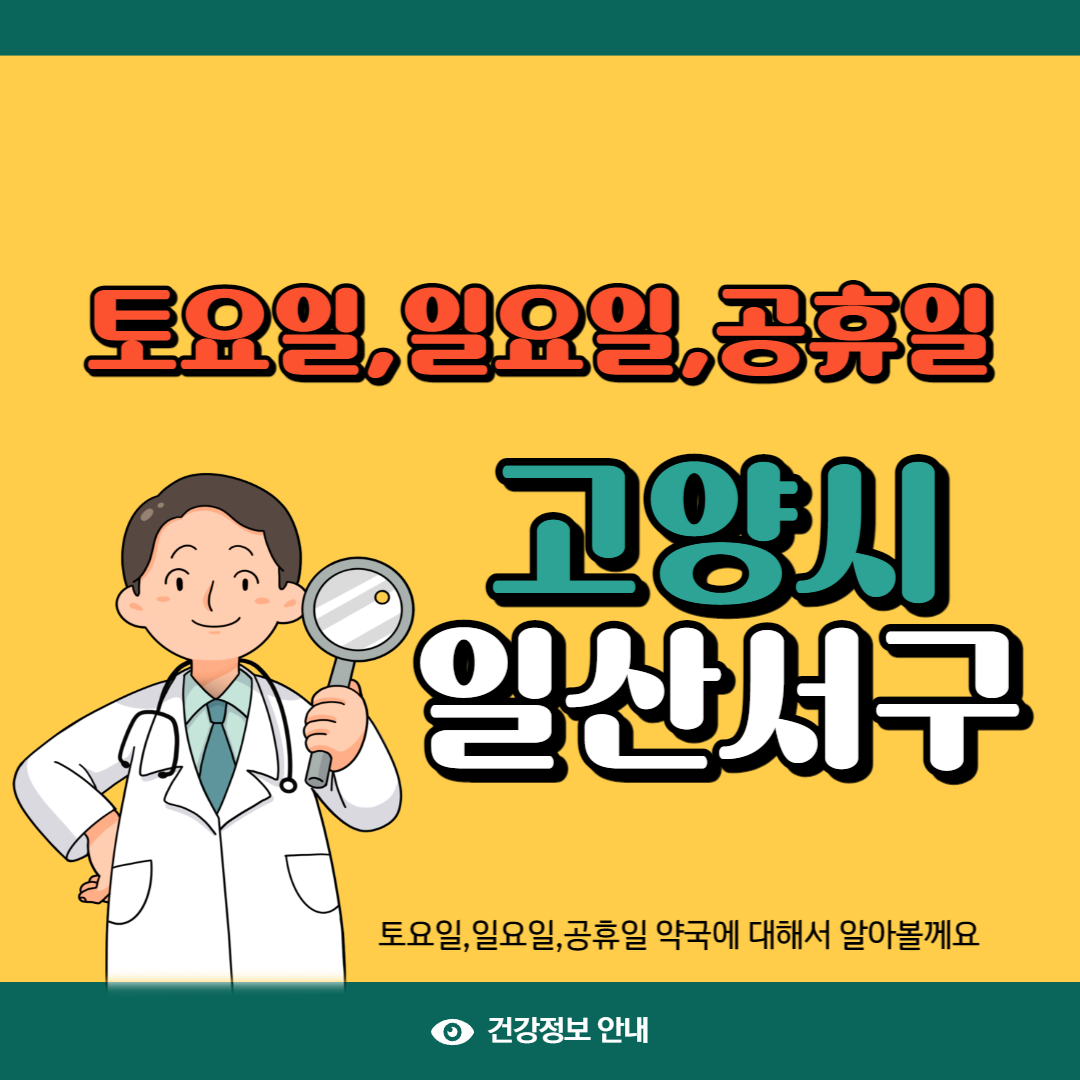 고양시 일산서구 일요일 약국