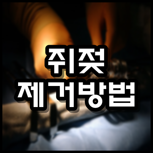  쥐젖 제거방법