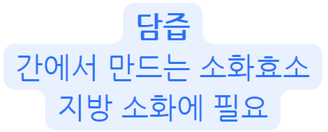 담즘에 대한 설명