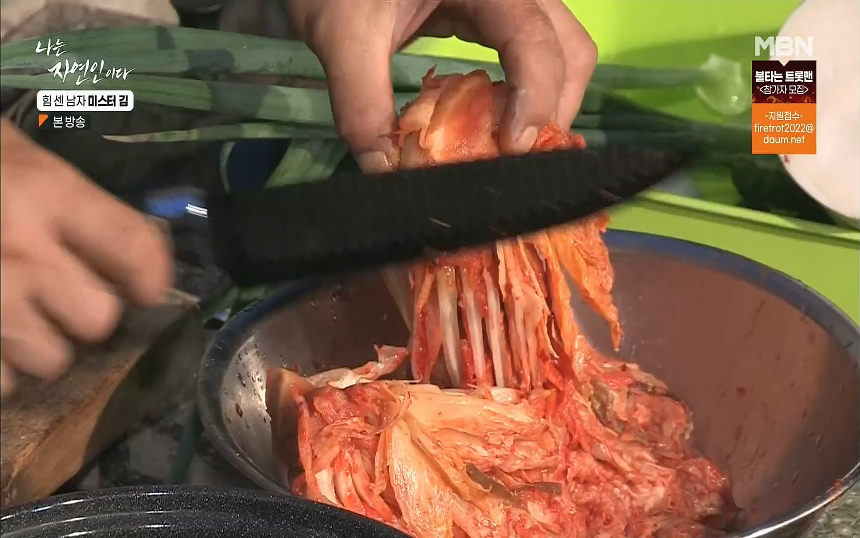 나는 자연인이다.E510.220713p.H264-F1RST.mp4_20220714_180709.593.jpg