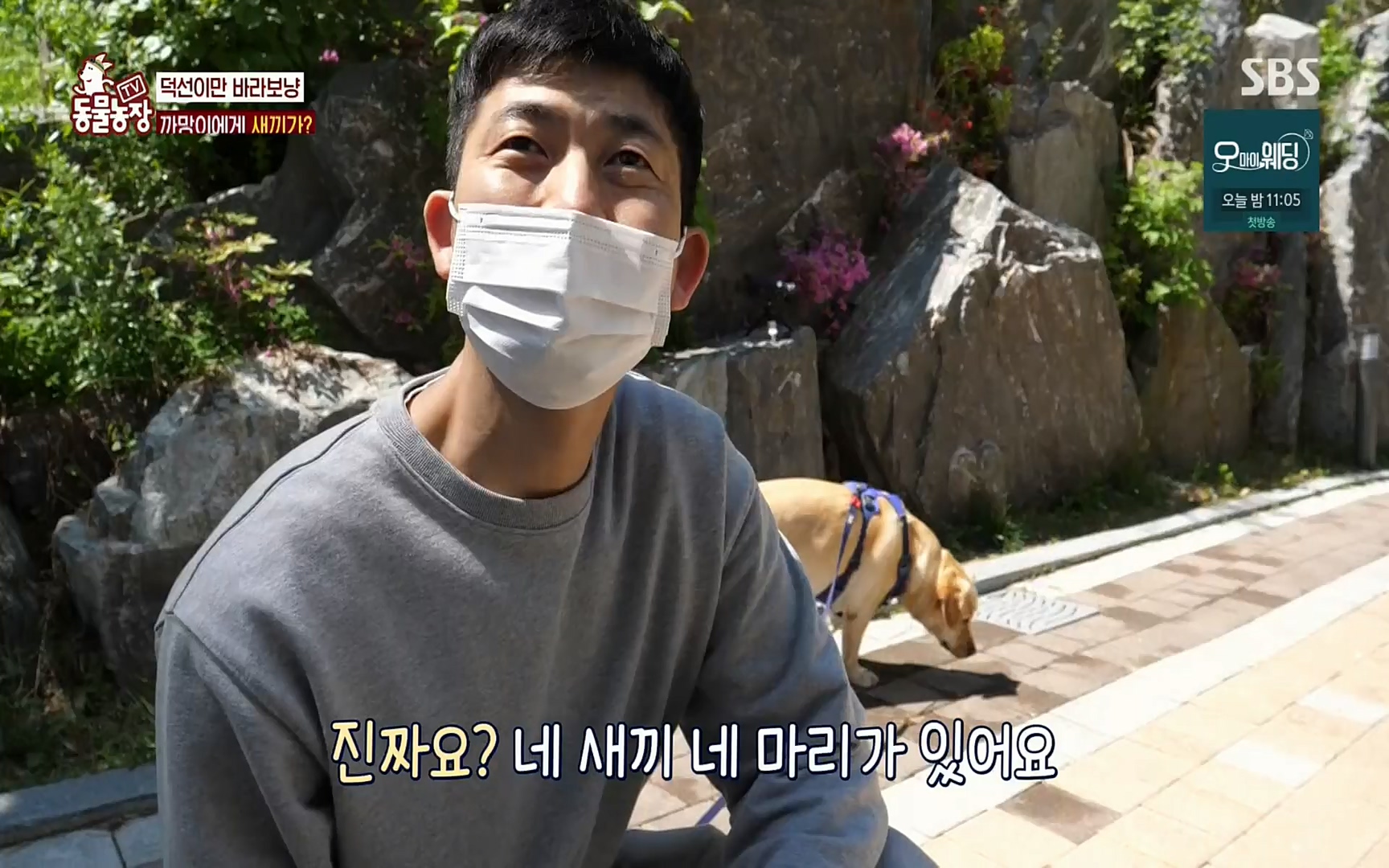 TV 동물농장.E1073.220612p.H264-F1RST.mp4_20220612_181347.244.jpg