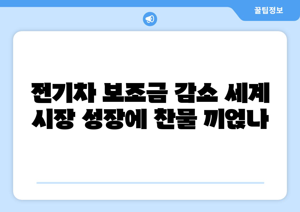 전기차 보조금 감소 세계 시장 성장에 찬물 끼얹나