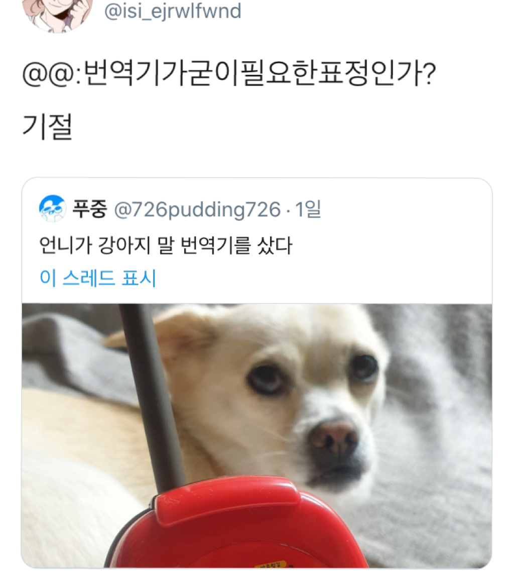  언니가 강아지 말 번역기를 샀다.twt