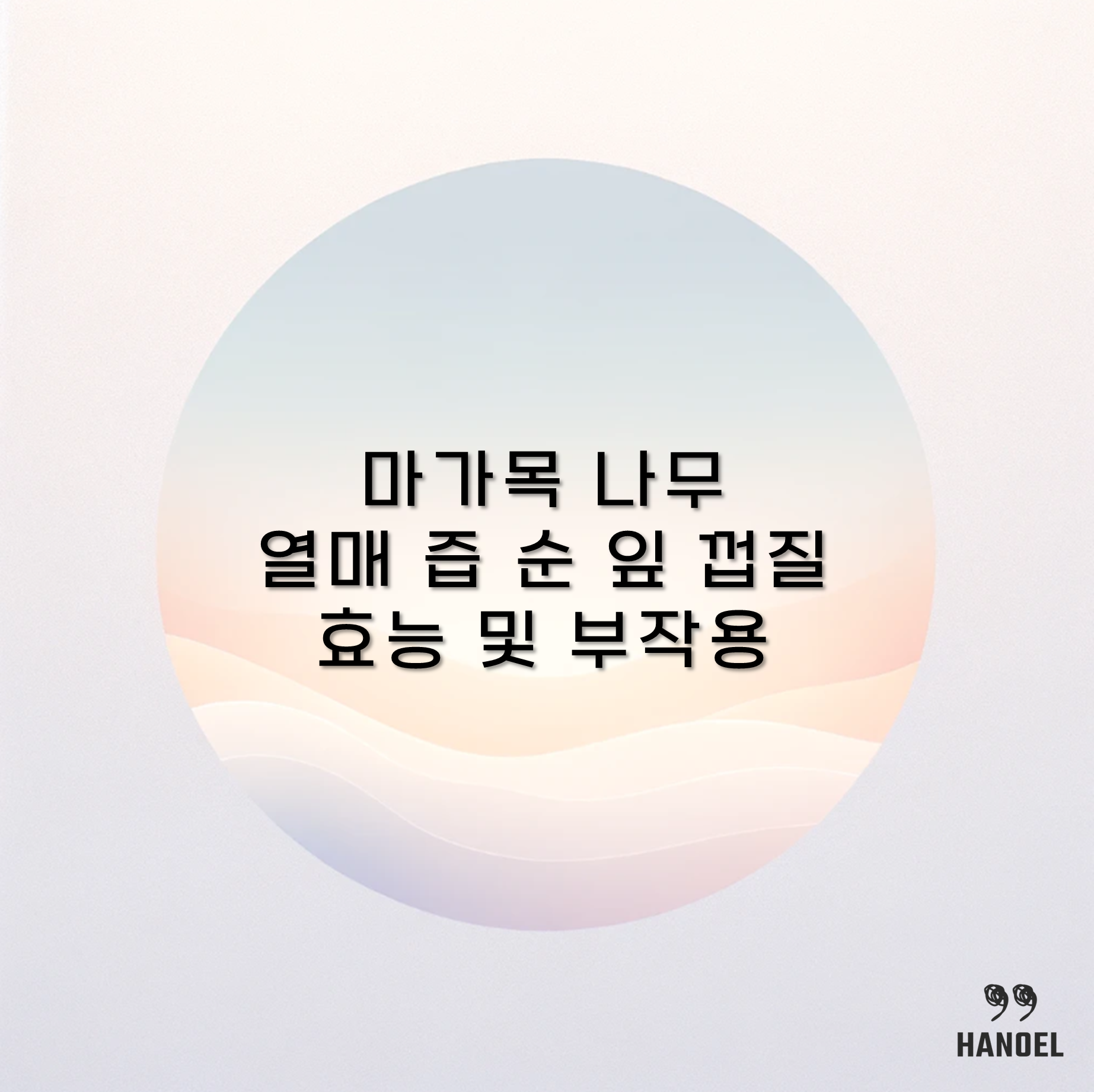 마가목 나무 열매 즙 순 잎 껍질 효능 및 부작용