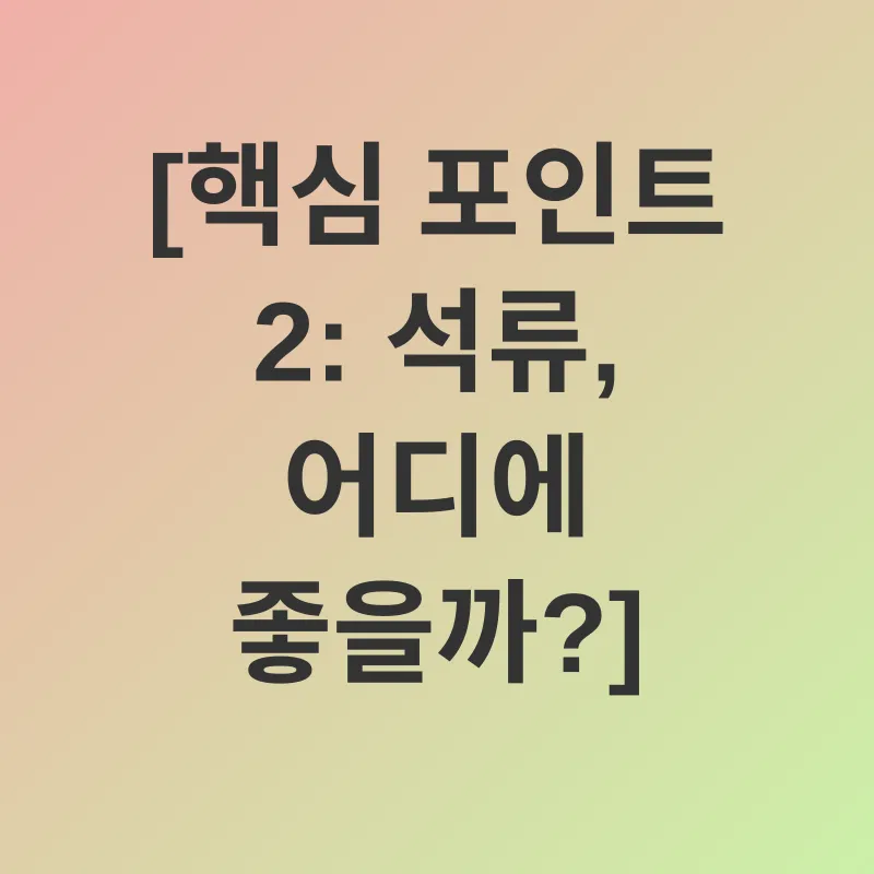 석류의 효능_2
