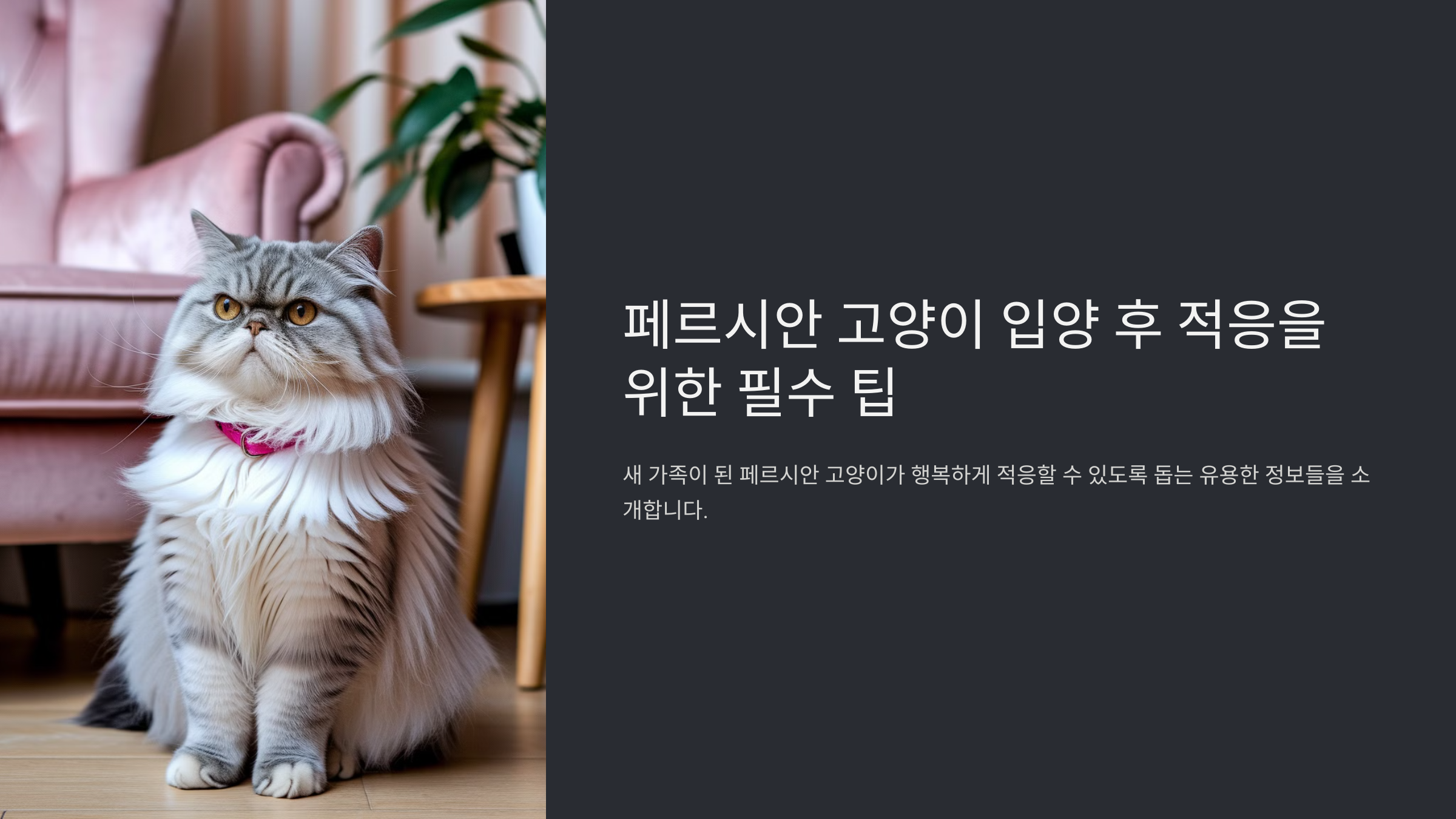 페르시안 고양이 입양 후 적응을 위한 필수 팁