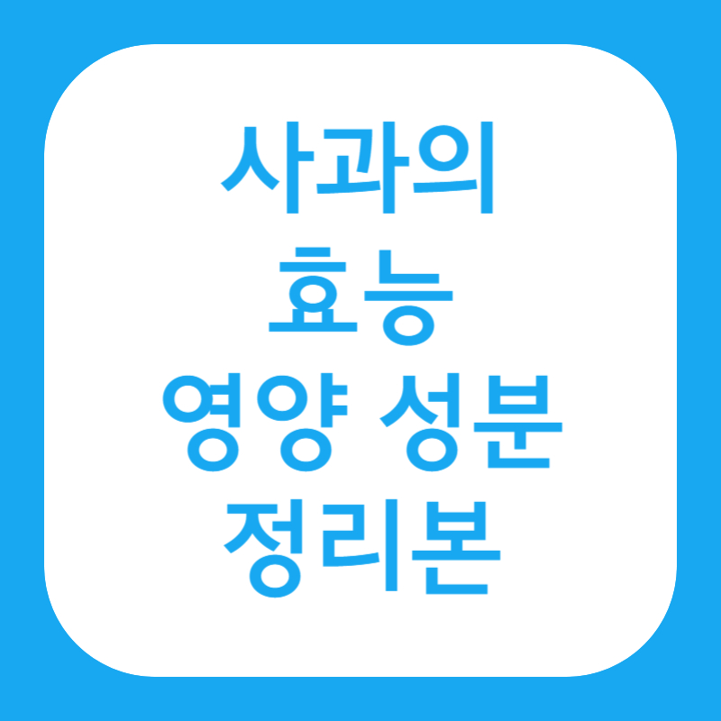  사과의 효능, 영양 성분, 종류에 대하여 알아보자!