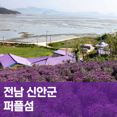 전남-신안군-문화관광-홈페이지