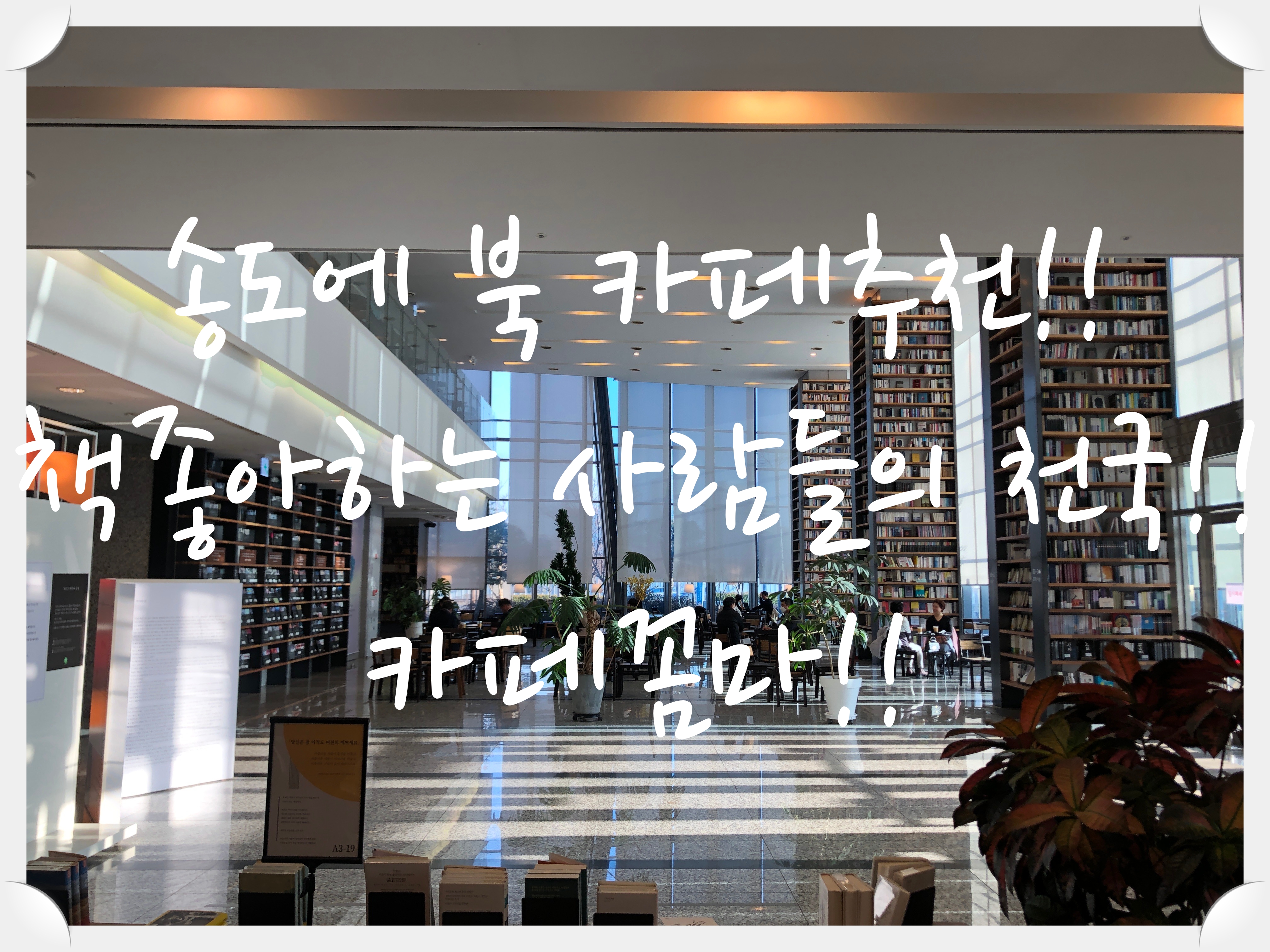  송도 책쟁이들의 카페!! 카페꼼마 송도점!!