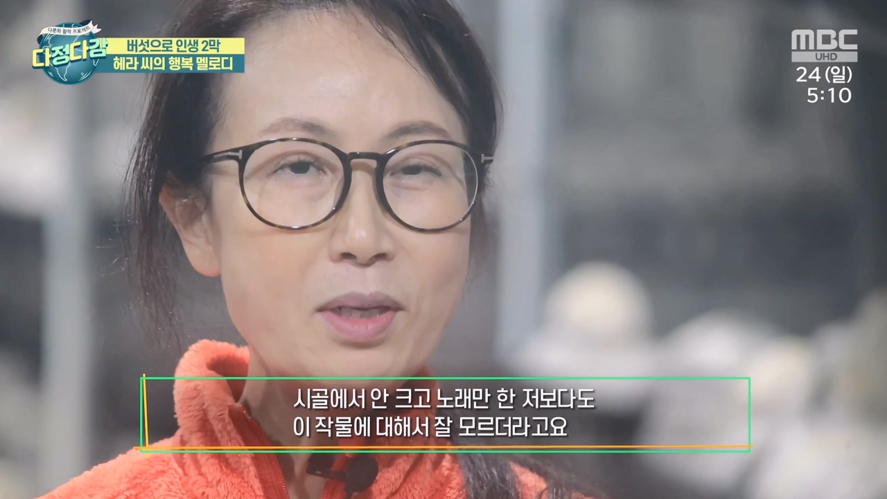 MBC 네트워크 특선 - 다문화 활력 프로젝트 다정다감.E1669.240325p-NEXT.mp4_20240328_202438.272.jpg