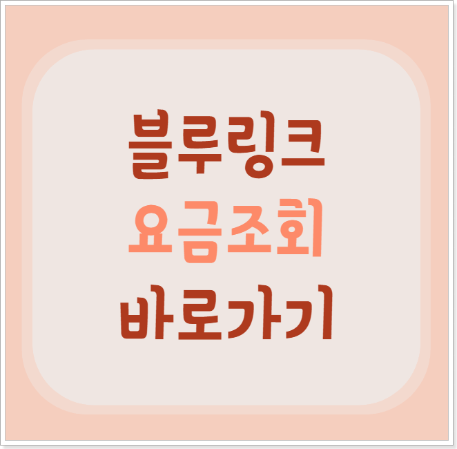 블루링크 요금 조회 방법