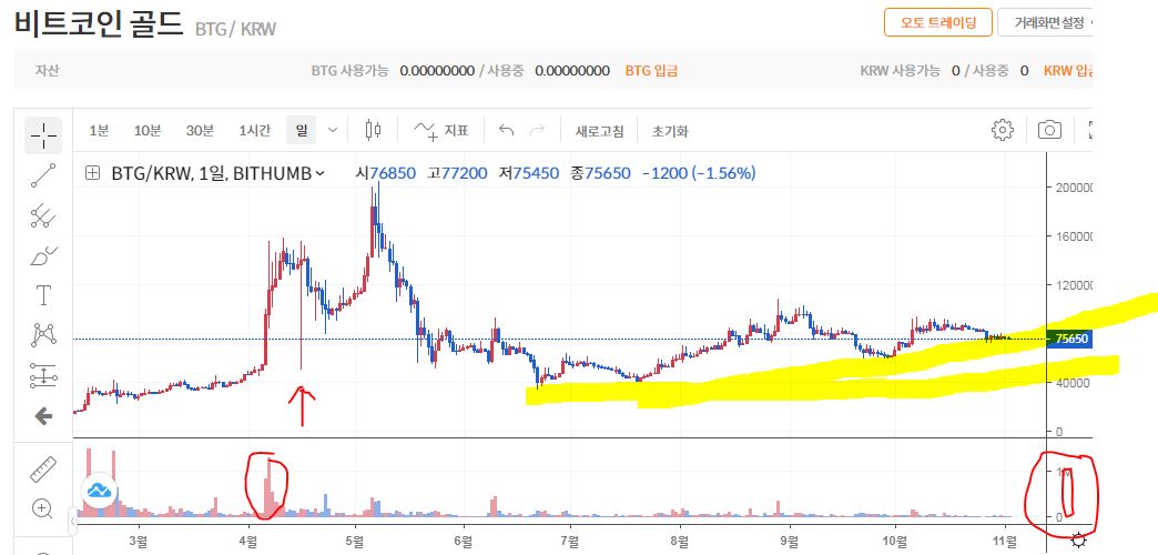 BTG 코인 - 비트코인골드 코인 전망 시세 가격 해부