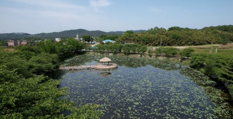 고향민국-당진-콩국수-서리태부추콩국수-100년우체국카페