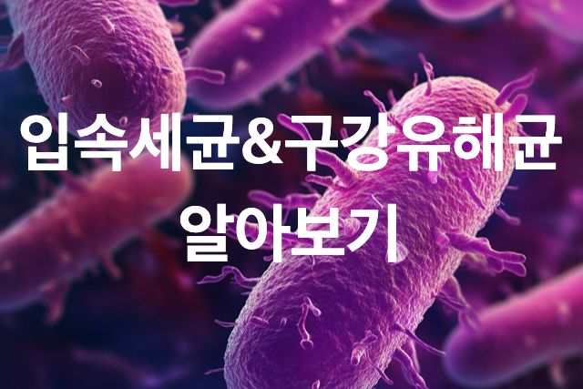 입속세균&amp;구강유해균 블로그 링크 이미지.