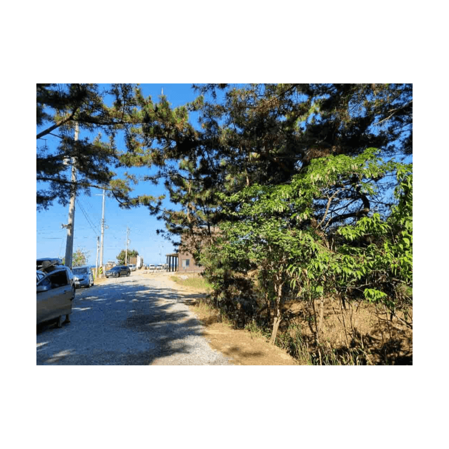 달산포 해수욕장 가는 길, 주차 방법