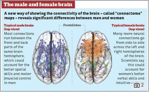 지피지기 &#39;여자와 남자&#39; VIDEO:The hardwired difference between male and female brains