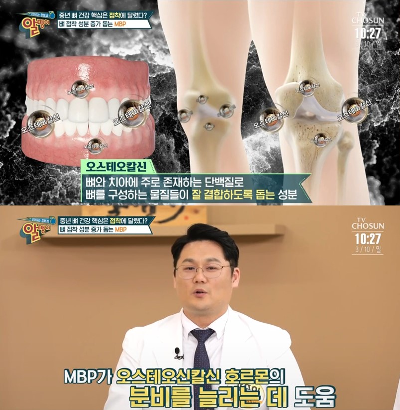 MBP 엠비피 골다공증 개선 유단백추출물 효능 정보 안내