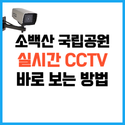 소백산 국립공원 연화봉 실시간 CCTV 감상하는 방법