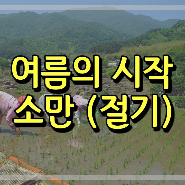  여름의 시작, 소만의 유래, 소만에 먹는 음식 (24절기)