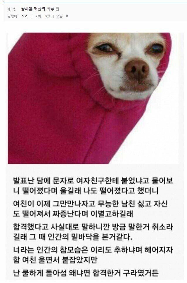 img.jpg