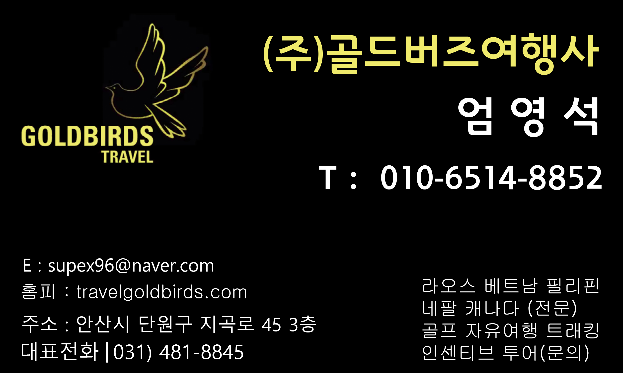 버즈주 이미지
