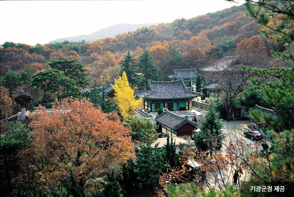 안주사