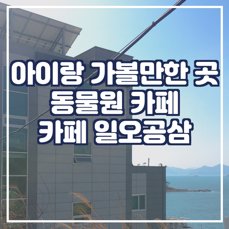  부산 아이와 가볼만한곳 동물원 카페 나들이 [부산 강서구 일오공삼 카페편]