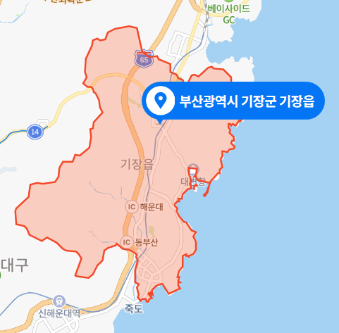  부산 기장군 기장읍 장기 주차 차량 모자 사망사건 (2021년 3월 17일)