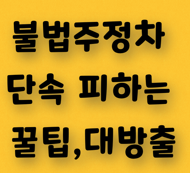  불법주정차 단속을 피하는 꿀팁 대방출