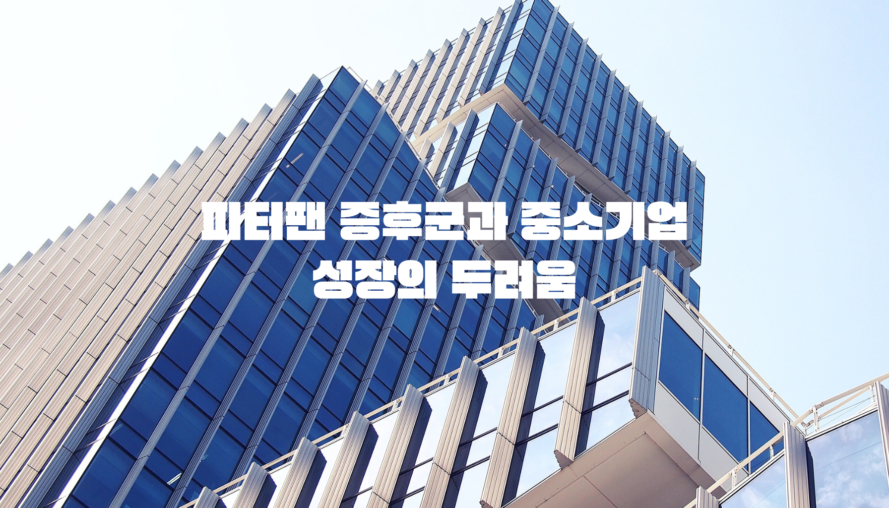 피터팬 증후군과 중소기업: 성장의 두려움