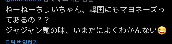 ねーねーちょいちゃん、韓国にもマヨネーズっ てあるの??
ジャジャン麺の味、いまだによくわかんない