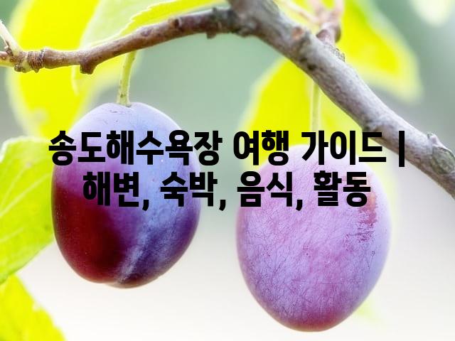 랜덤185