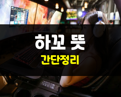  하꼬란? 하꼬 뜻과 유래, 그리고 하꼬방의 의미
