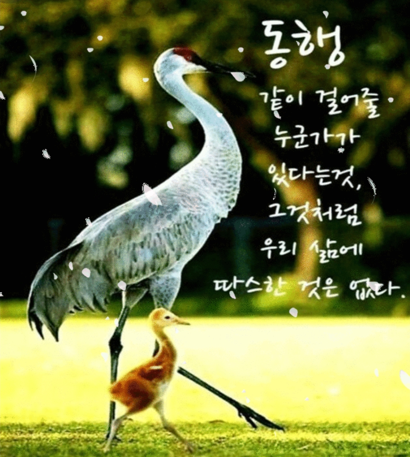  同行하는 人生