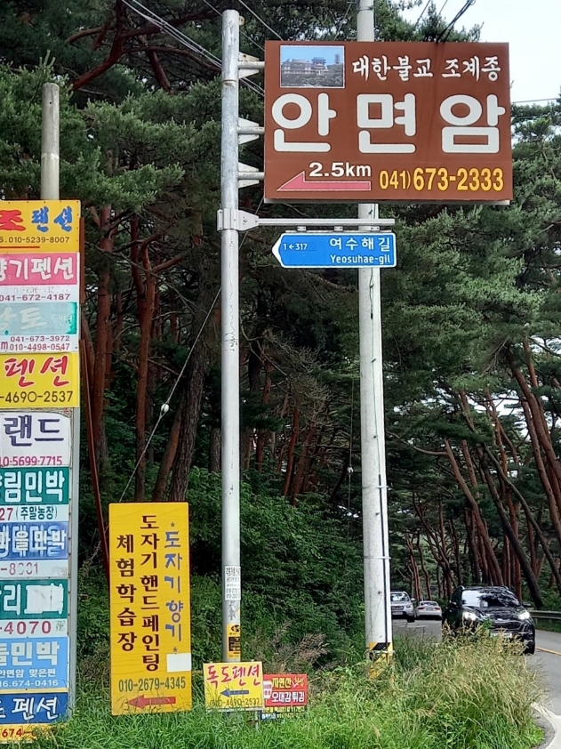 img.jpg