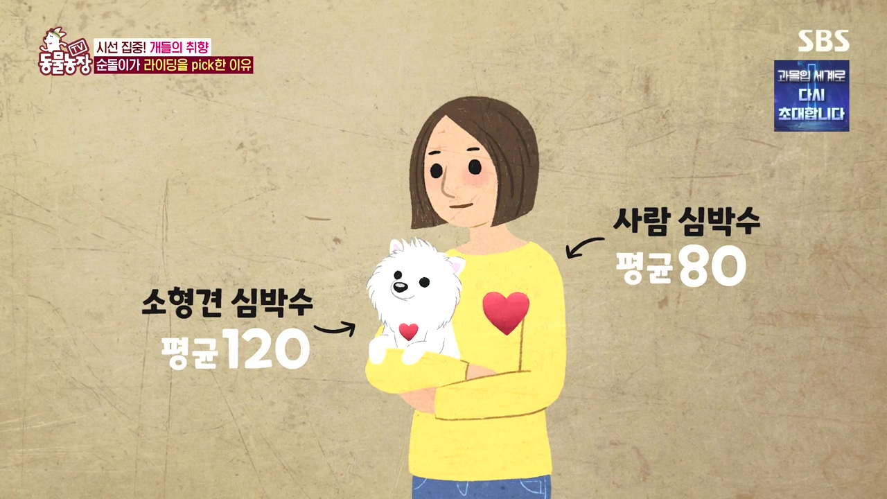TV 동물농장.E1152.231232p-NEXT.mp4_20231231_165731.555.jpg