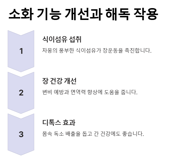 자몽 효능 &amp; 자몽청 만들기