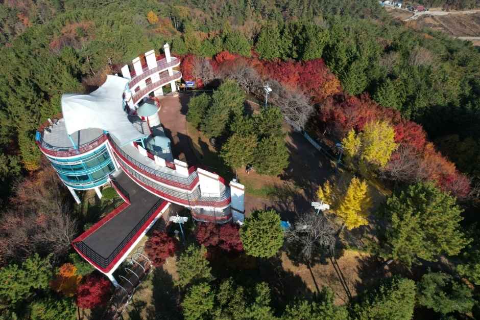 진양호공원