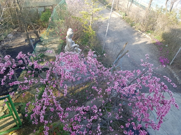 img.jpg