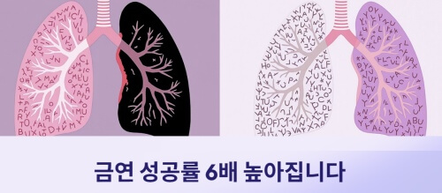 금연후 폐가 좋아진 그림 비교 이미지