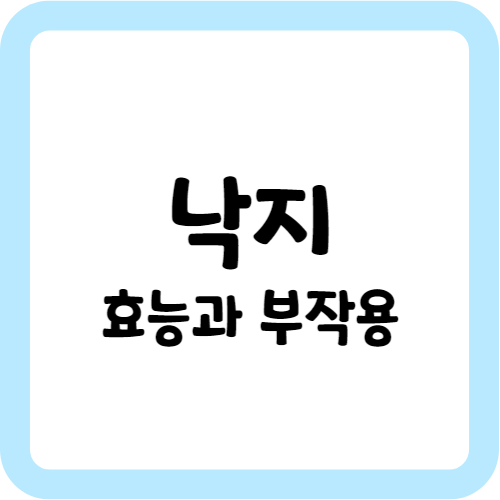 낙지의 효능과 부작용
