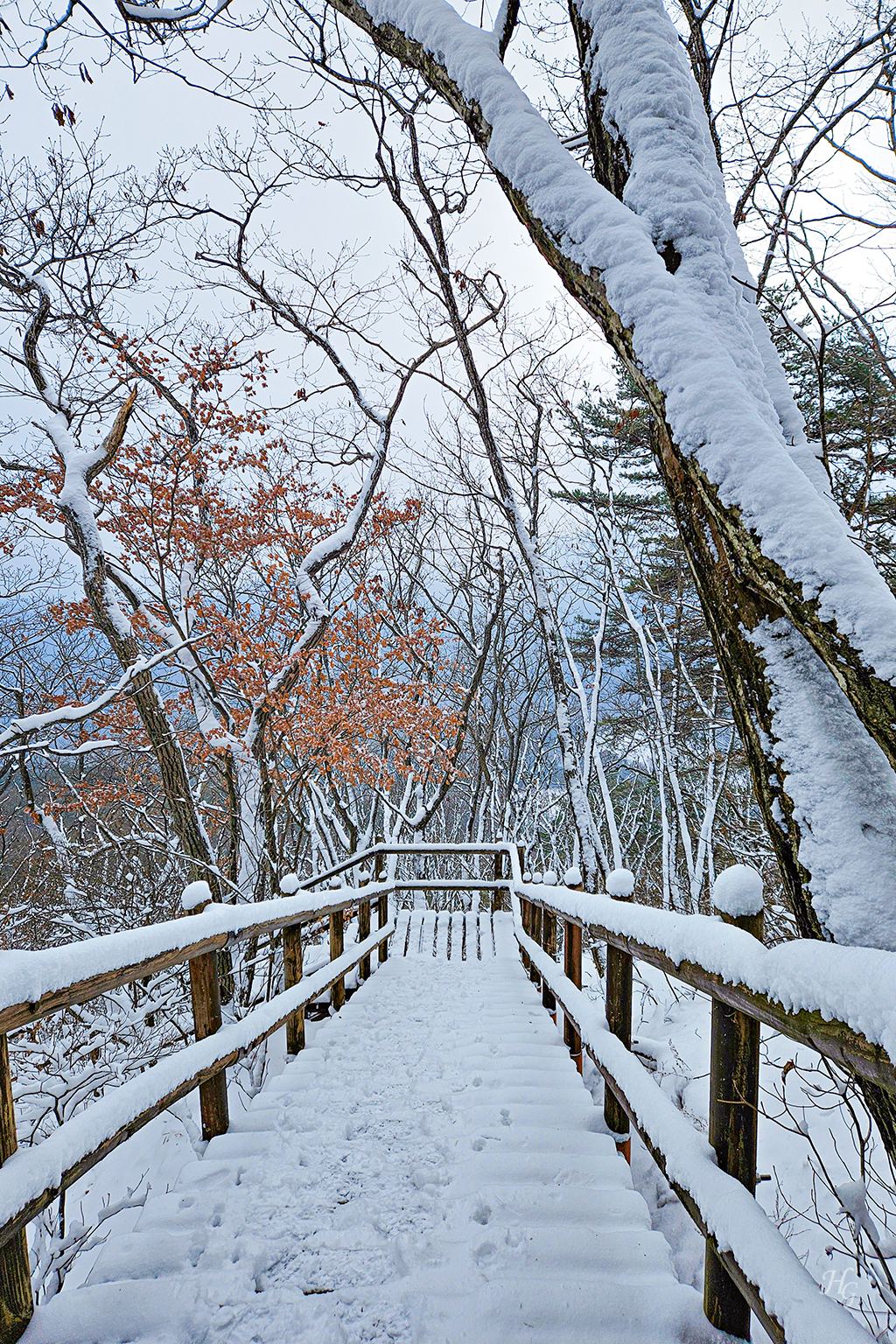 소백산국립공원 삼가동코스 이미지
