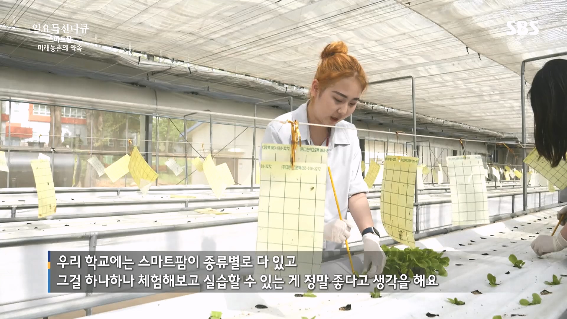 일요 특선 다큐멘터리.E348.240804p.H264-F1RST.mp4_20240805_201458.649.jpg