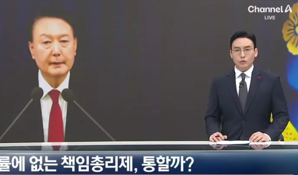 책임총리제 개념