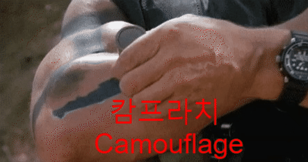  [캄프라치]  Camouflage