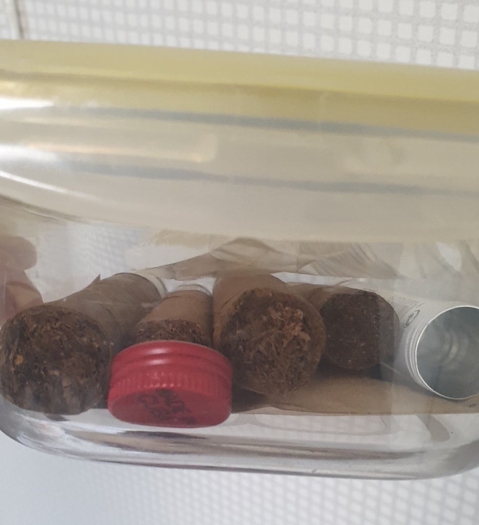 토로(TORO) 이미지