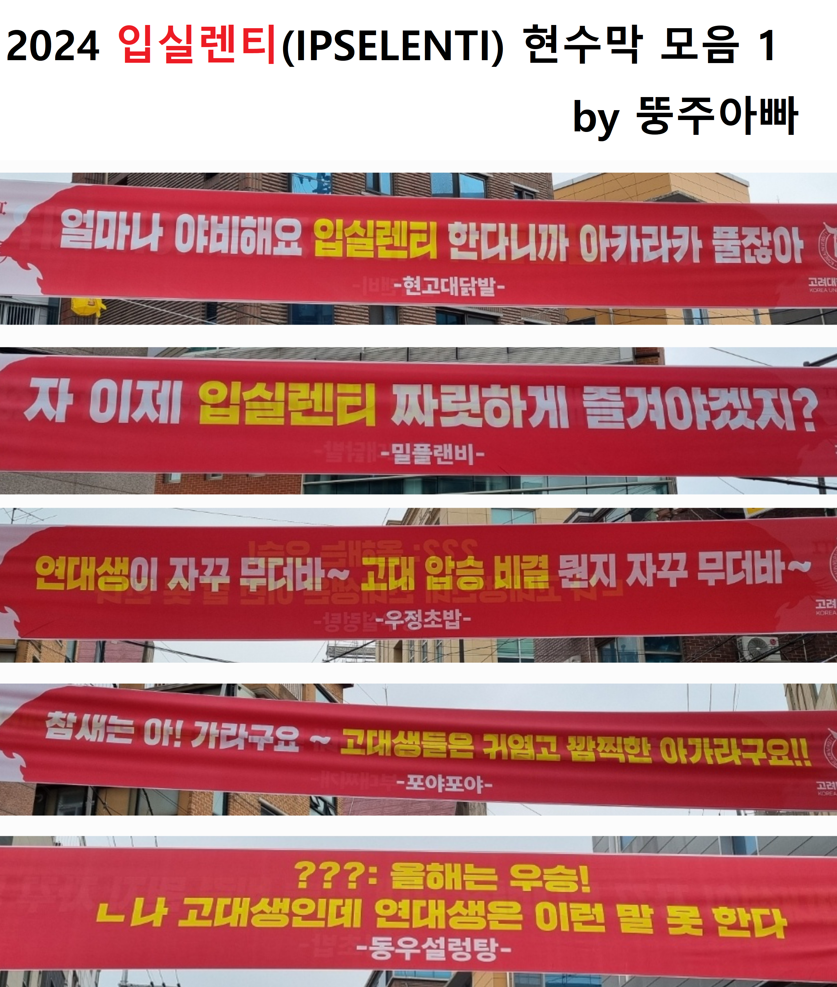  2024 입실렌티(IPSELENTI) 현수막 모음 by 뚱주아빠