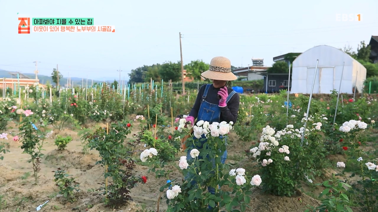 TV - 전 국민의 평생학교 EBS아파봐야 지을 수 있는 집.mp4_20230816_212622.032.jpg