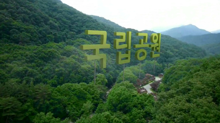  국립공원 내 다중이용시설 23일부터 운영 재개